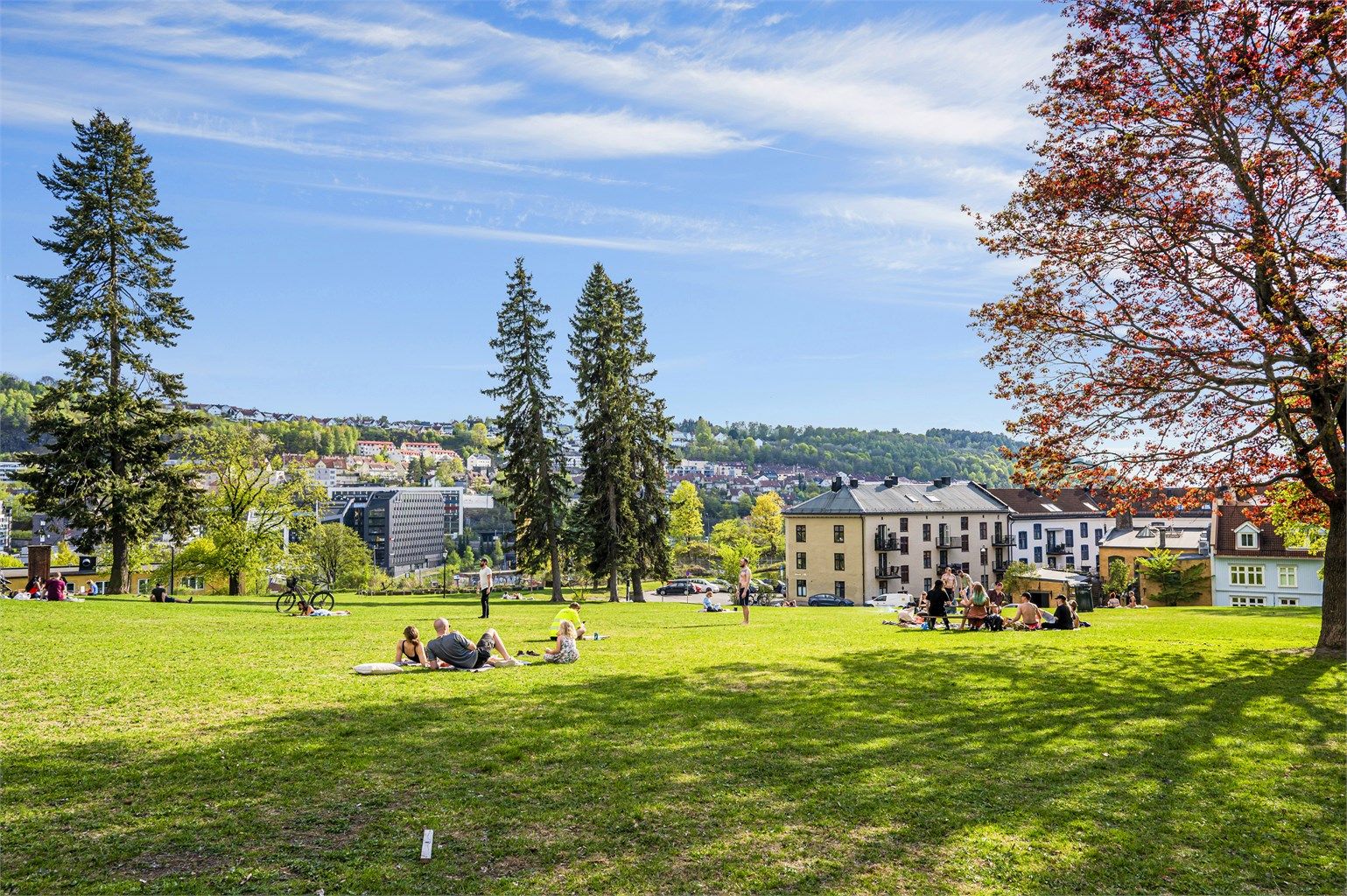 Vålerenga med parkanlegg er like utenfor døren din!