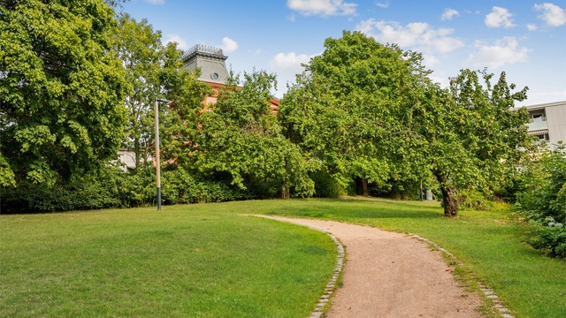 I nærområdet finner du flere flotte parker og rekreasjonsområder, blant annet Ola Narr like over gaten, Sofienbergparken, Tøyenparken og Torshovdalen.