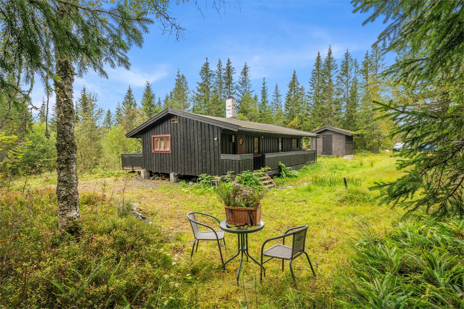 Hytta ligger idyllisk og tilbaketrukket, omgitt av skog og flotte naturomgivelser, et herlig sted for rolige dager og avkobling.