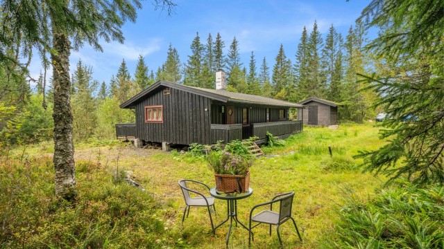 Hytta ligger idyllisk og tilbaketrukket, omgitt av skog og flotte naturomgivelser, et herlig sted for rolige dager og avkobling.