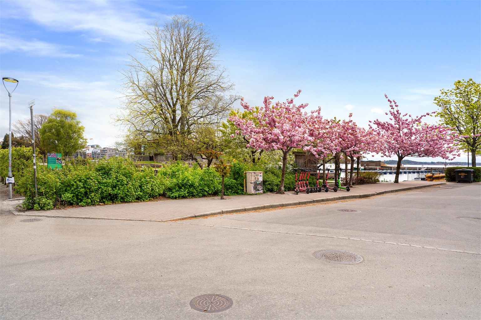 Nærområde med flotte opparbeidet beplanting og gjestehavn like ved 