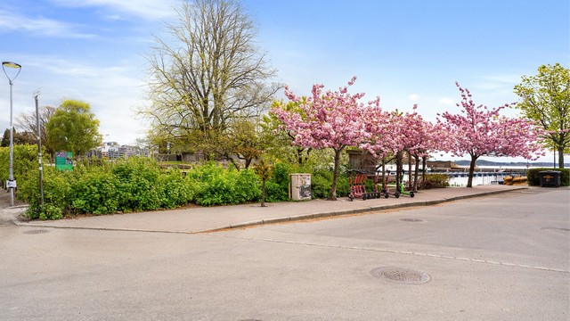 Nærområde med flotte opparbeidet beplanting og gjestehavn like ved