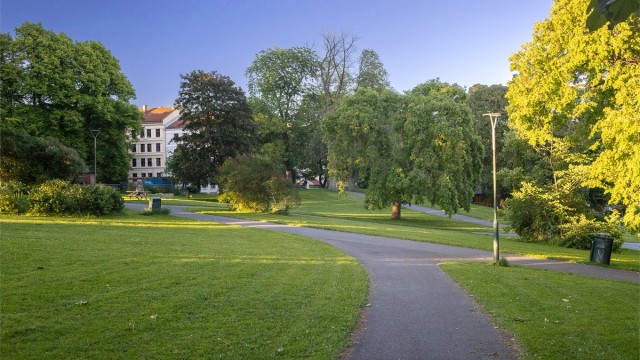 Området bugner av grønne park- og turområder.