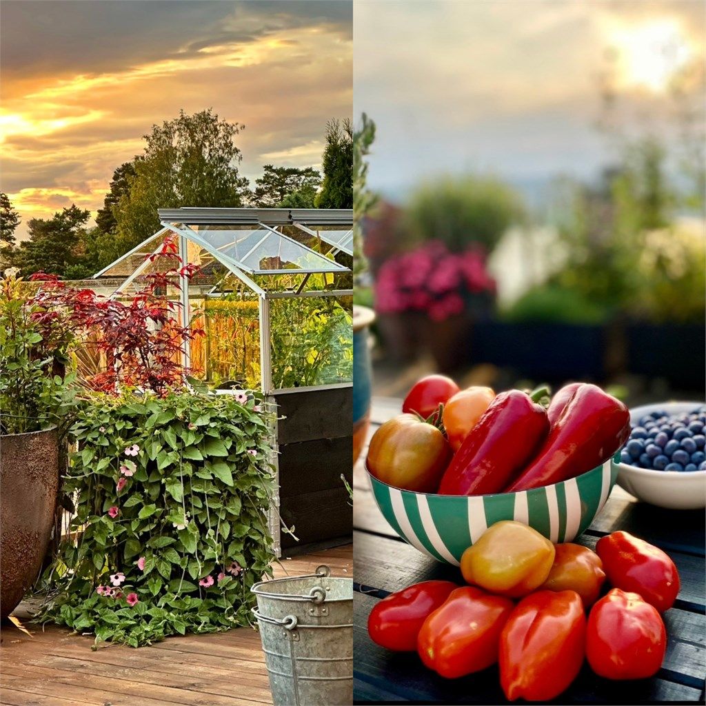 Velkommen til en hyggelig visning i Elleskjærveien 8! Husk påmelding :-)