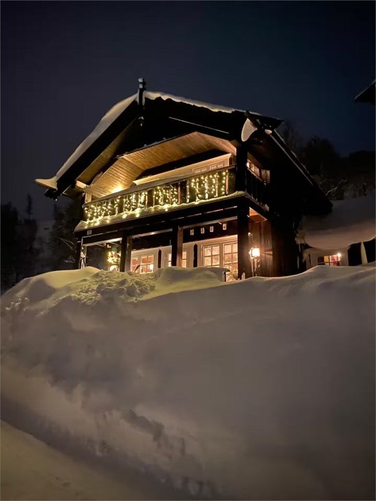 Selgers bilde fra vinterstid 