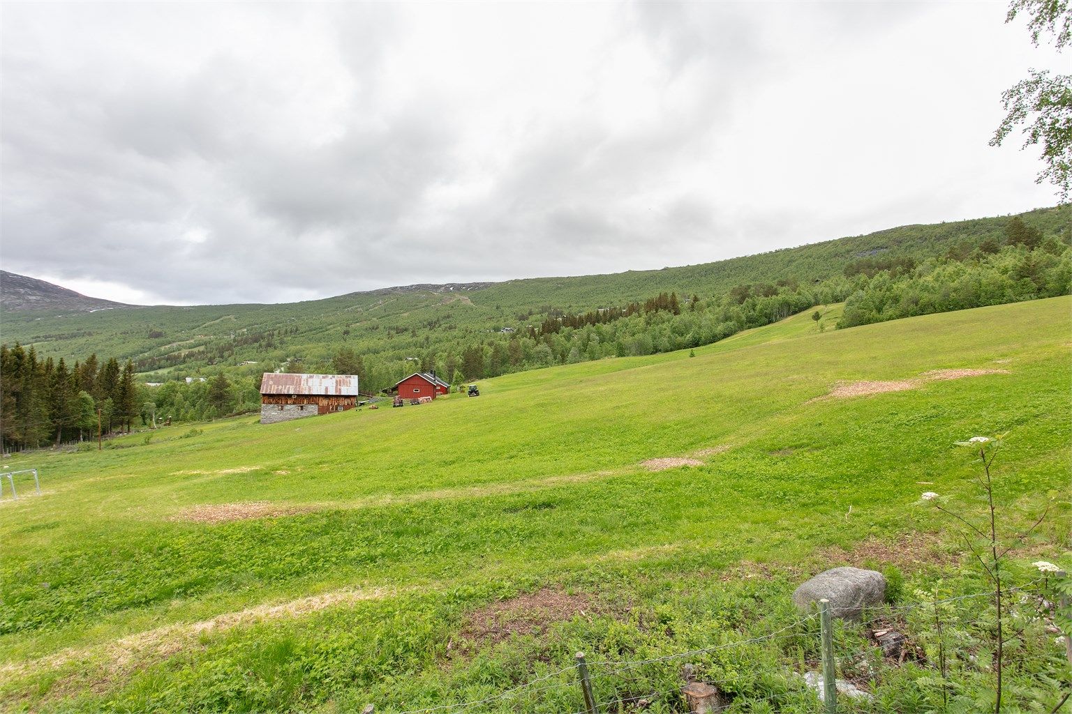 Eiendommen ligger i et rolig og naturskjønt område.