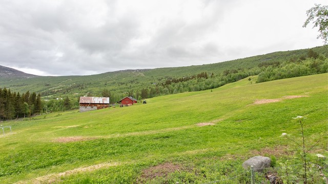 Eiendommen ligger i et rolig og naturskjønt område.