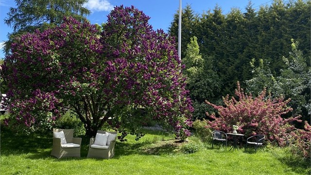 Selgers sommerbilde