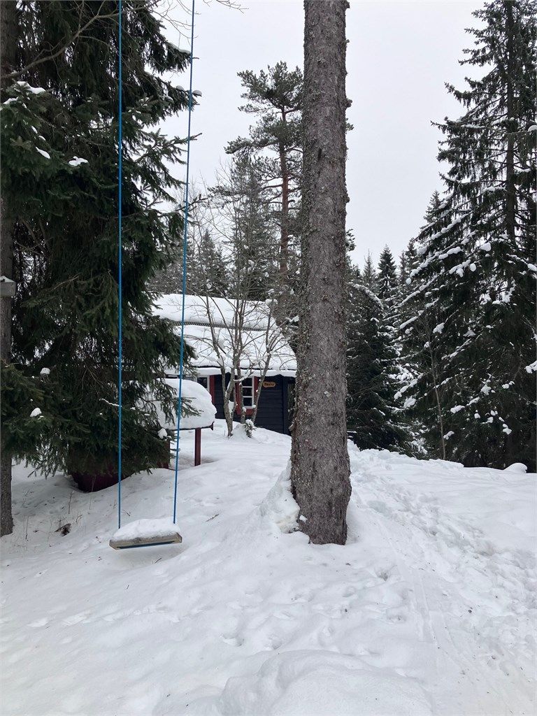 Selgers private bilder - vinter 2026