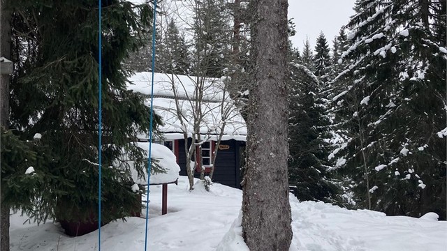 Selgers private bilder - vinter 2026