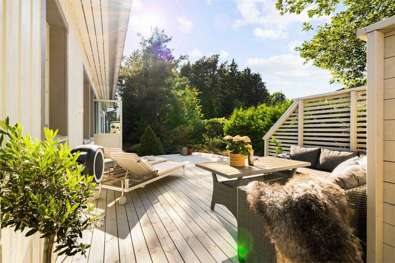 På plattingen bak boligen kan du sitte ute i usjenerte omgivelser og glede deg over sol frem til sen kveld sommerstid. Solforholdene er generelt meget gode rundt eiendommen.