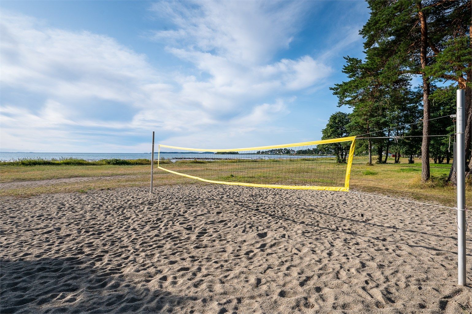 Ringshaug