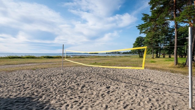 Ringshaug