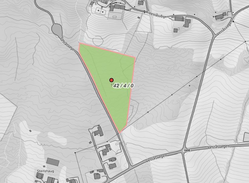 Skogsteig i Veståsvegen i Øvre Vang. Teigen kan besiktiges på egenhånd, se kart.