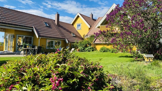Selgers sommerbilde