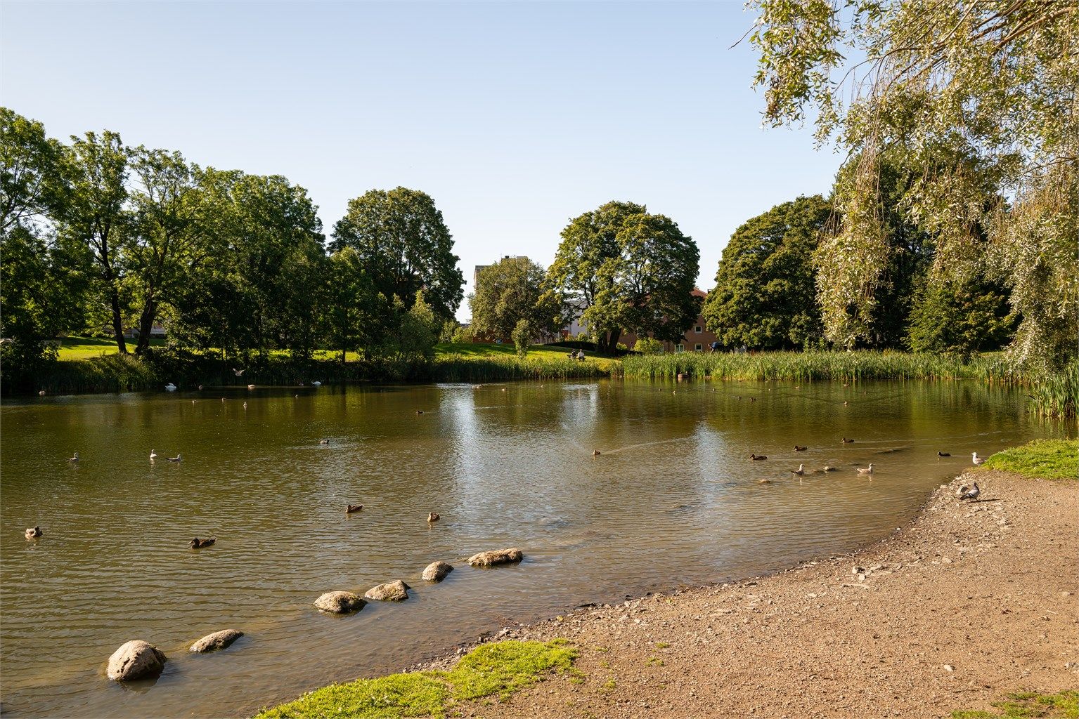 Umiddelbar nærhet til andedammen på Valle.