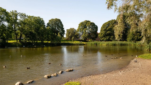 Umiddelbar nærhet til andedammen på Valle.