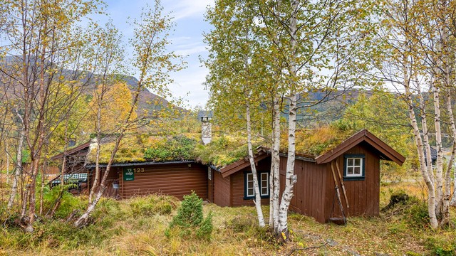 Hytta og annekset ligger lunt til med biloppstillingsplass på tomten.