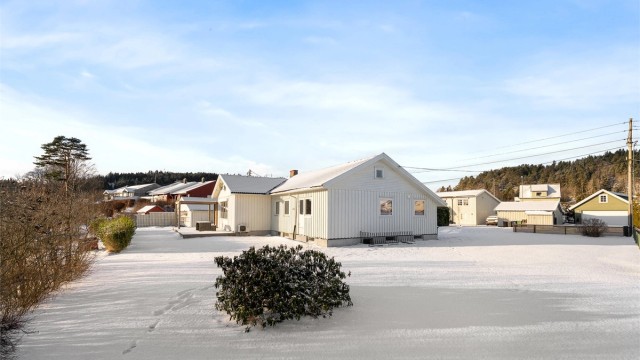 Fasadebilde i hagen