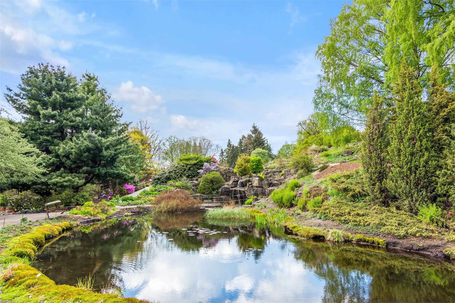 En kort gåtur unna venter den vakre botaniske hagen – en grønn oase midt i byen.