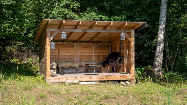Gapahuk plassert i skogkanten