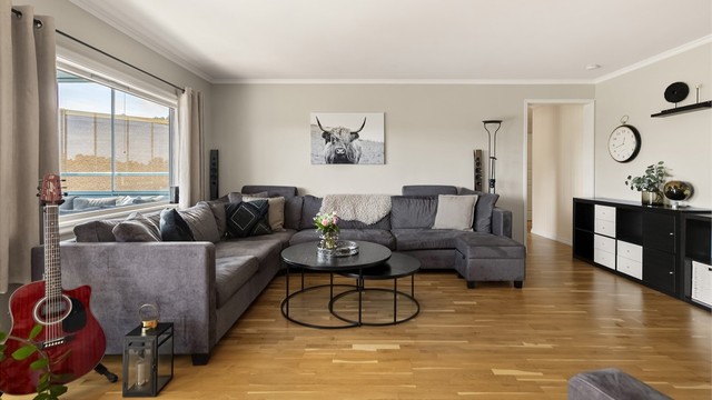 God plass stil salong og tv i stuen
