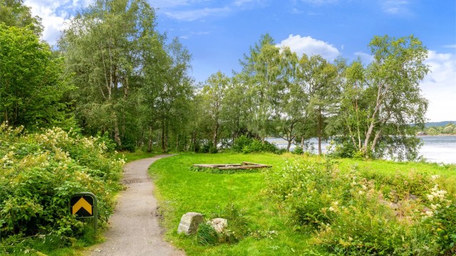 Flotte turstier langs sjøen, perfekt for turer og jogging.