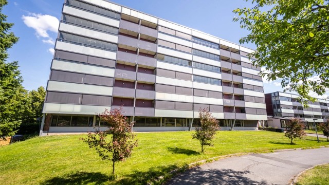Et velholdt borettslag med gode fellesområder og moderne fasader.