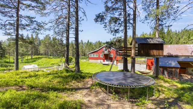 Tomten er opparbeidet med plenarealer og plass for lek og aktiviteter.
