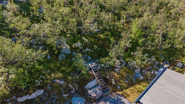 Naturtomten bak hytta grenser direkte mot åpent friområde og fjellet.