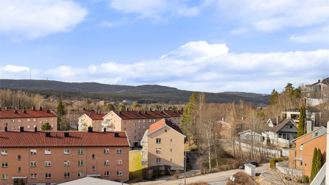 Maridalsvannet skimtes så vidt til høyre i bildet – før løvet kommer på trærne. Marka er bare en kort tur unna