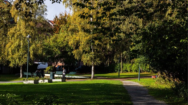 Området byr på en sjelden kombinasjon av byliv og grønne lunger, med kort vei til parker som Ola Narr og Tøyenparken. Her sees Bülow Hanssens plass.