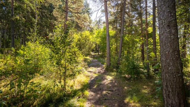 Flotte turstier og lysløyper i Østmarka starter rett i nærheten.