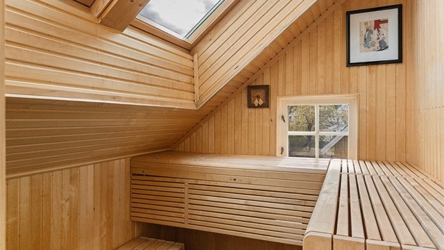 Badstuen har elektrisk ovn og takvinduer som gir naturlig lys.
