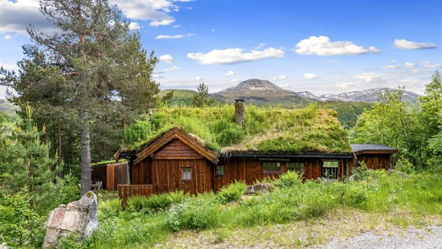 Hytta ligger fint til i skrånende terreng, omgitt av trær og natur.