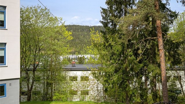 Marka er nærmeste nabo