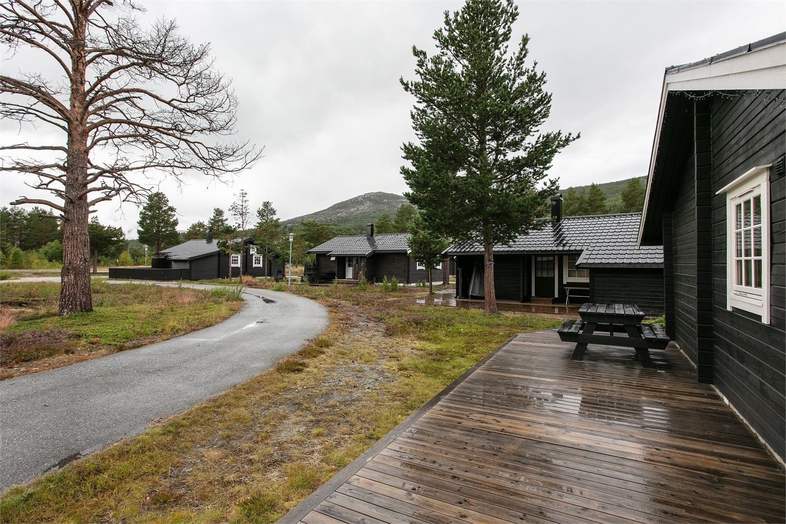 Gangavstand til dagligvarebutikk, restauranter og klatrepark.