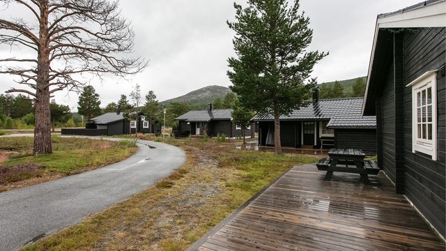 Gangavstand til dagligvarebutikk, restauranter og klatrepark.
