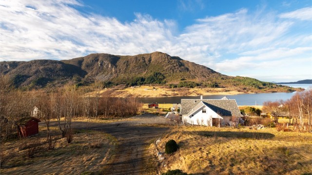 Utsikt fra veranda mot adkomstvei
