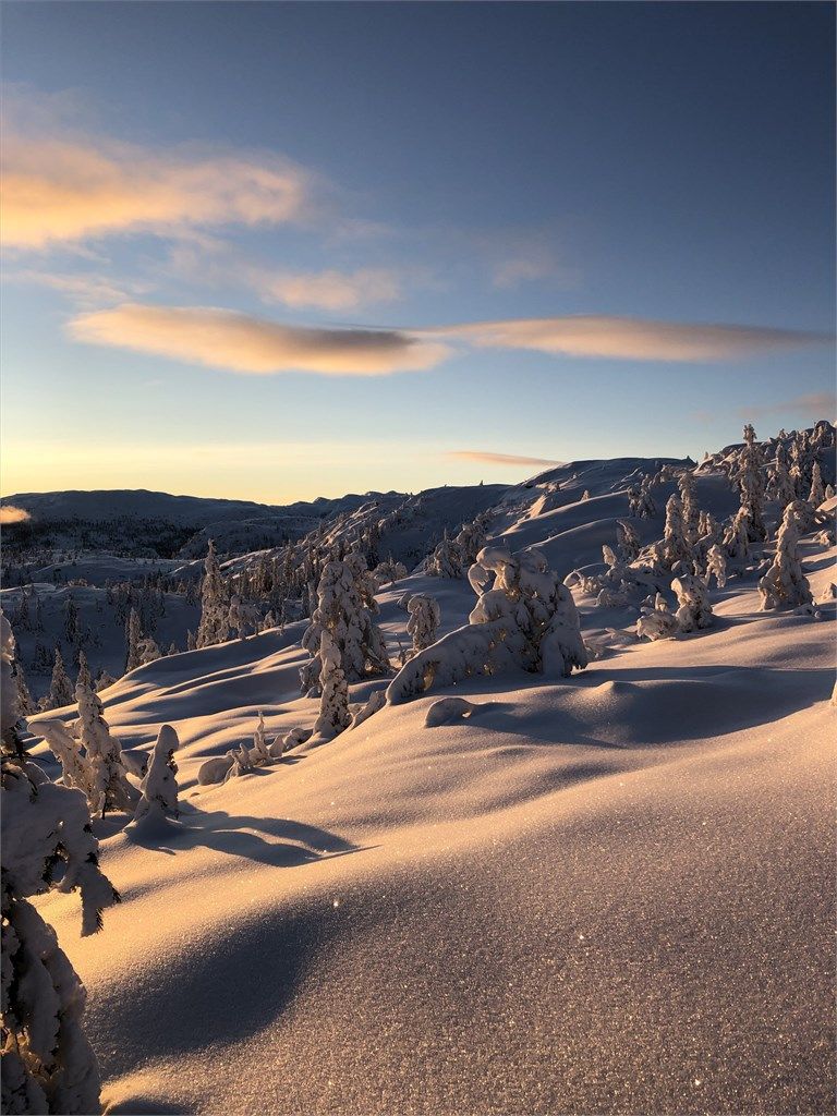 Området byr på et velpreparert løypenett for langrennsturer.