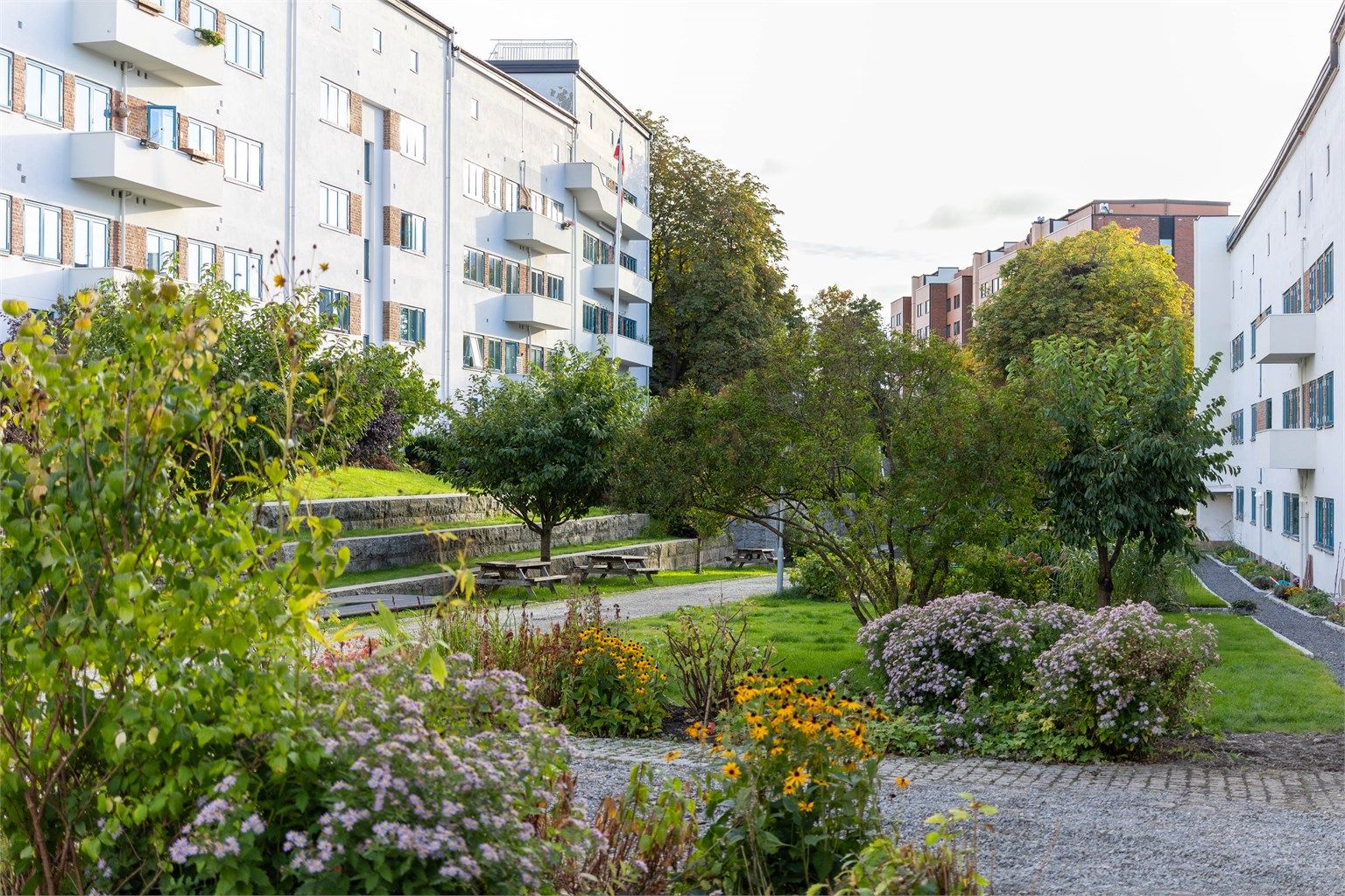 Funkisgårdens bakgård er noe helt for seg selv. Den er stelt av gartner, har frodige blomsterbed og sittegrupper, og holder et høyt nivå gjennom hele sesongen. Her kan du også ha din egen plantekasse og dyrke blomster eller grønnsaker, midt i byen.
