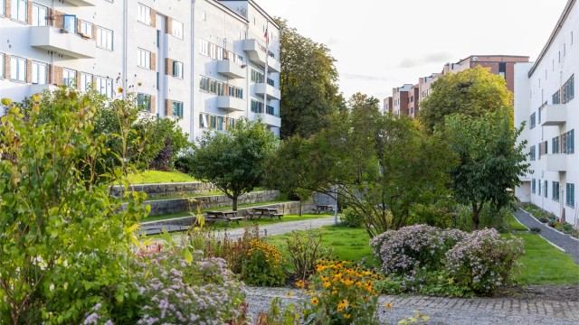 Funkisgårdens bakgård er noe helt for seg selv. Den er stelt av gartner, har frodige blomsterbed og sittegrupper, og holder et høyt nivå gjennom hele sesongen. Her kan du også ha din egen plantekasse og dyrke blomster eller grønnsaker, midt i byen.