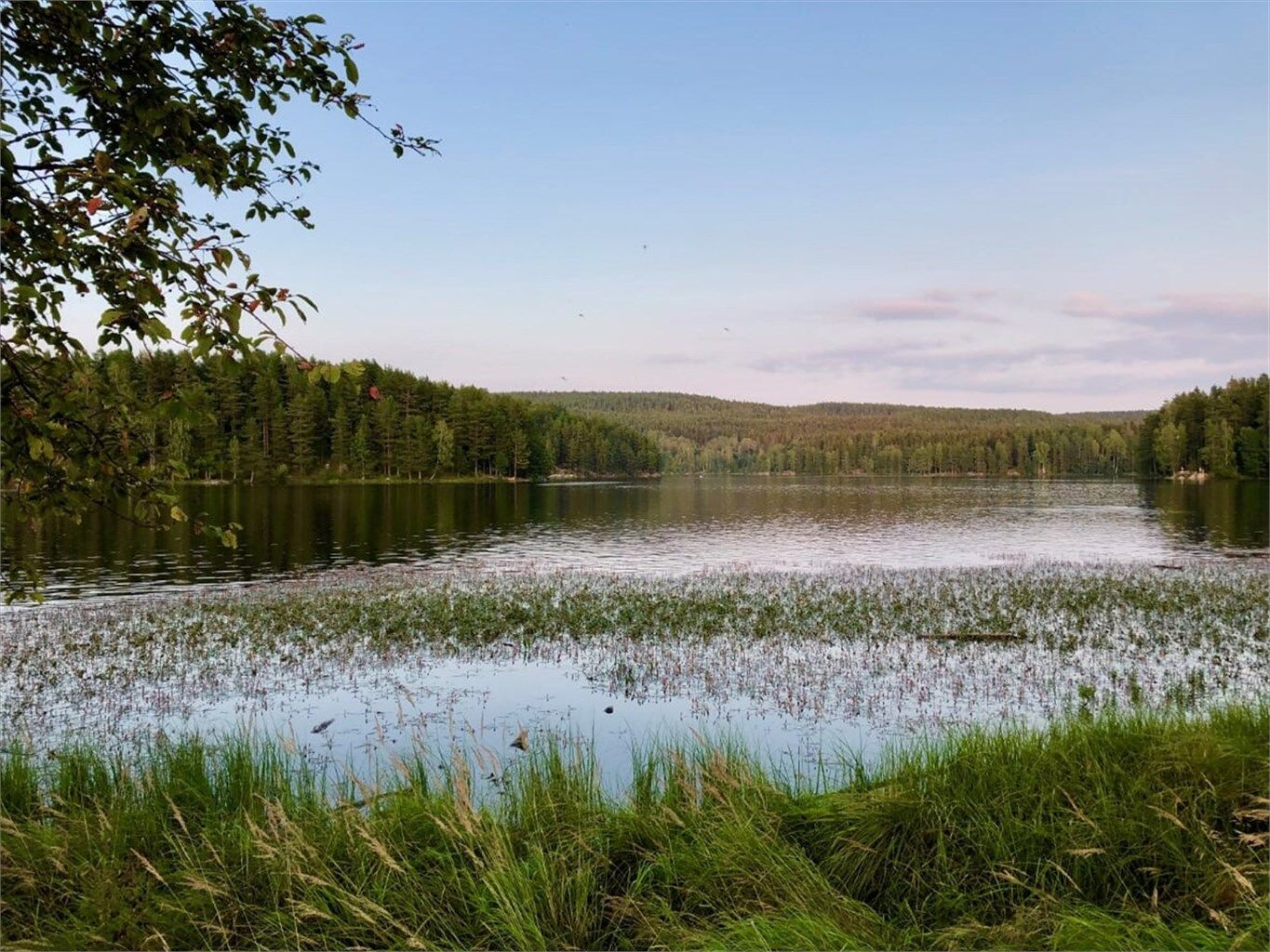 Idylliske Nøklevann!