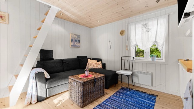 Stue/soverom i anneks med hems
