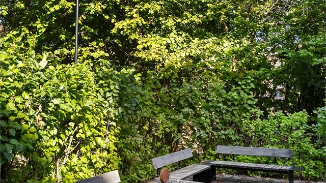 Sameiet har fine opparbeidede fellesområder med sittegrupper