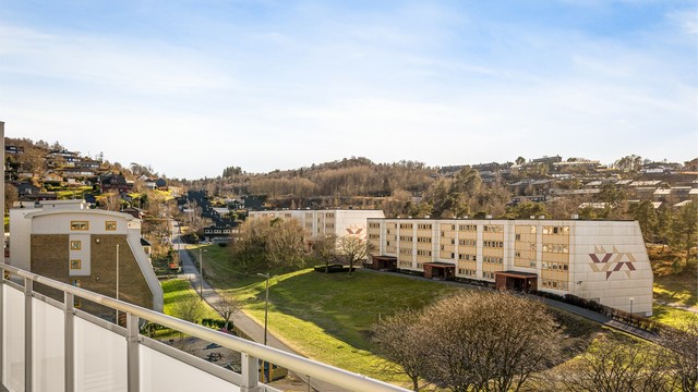 Flott utsikt over nærområdet.