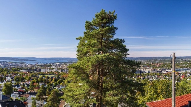 Utsikten strekker seg fra Ekeberg og over fjorden mot Kikuttoppen.