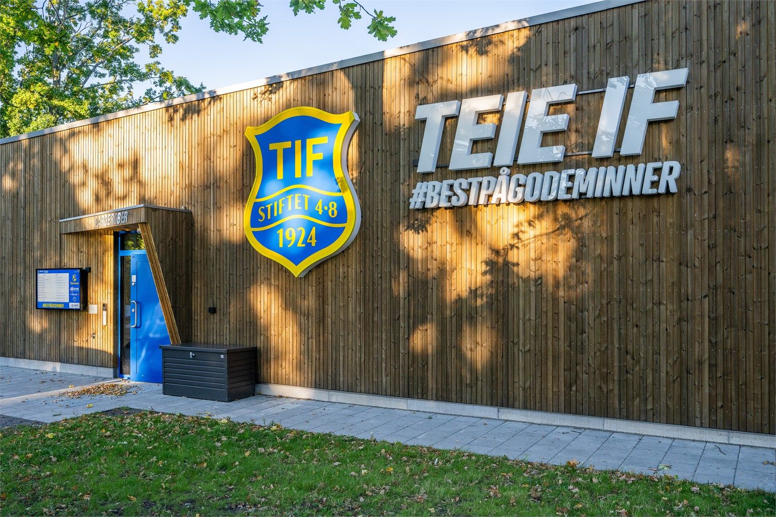 Teie IF