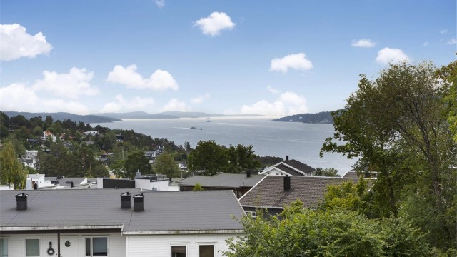Utsikt mot Oslofjorden fra eiendommen.