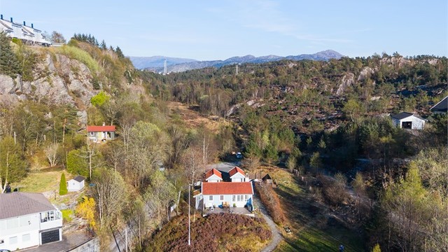 Træsbrekkene 29